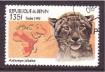 Stamps Benin -  serie- Felinos en el Mundo