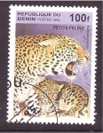 Stamps Benin -  serie- Cachorros felinos