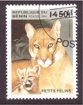 Stamps Benin -  serie- Cachorros felinos