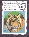 Stamps Spain -  serie- Felinos