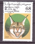 Stamps Spain -  serie- Felinos