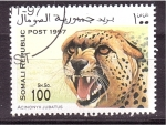 Stamps Somalia -  serie- Felinos