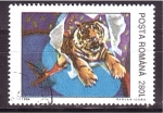 Stamps : Europe : Romania :  El tigre en el circo