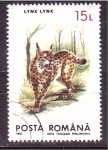 Stamps : Europe : Romania :  Lince