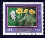 Stamps Hungary -  Waldstain Pimpo