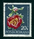Stamps : Europe : Romania :  Paeonia Romanica