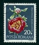 Sellos del Mundo : Europa : Rumania : Paeonia Romanica