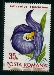 Stamps Romania -  Calceolus speciosum