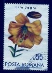 Stamps Romania -  Life Jagra