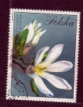 Stamps Poland -    mAGNOLIA