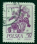 Sellos de Europa - Polonia -  Flor
