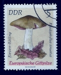Stamps : Europe : Germany :  Zetas