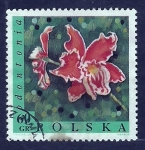 Stamps Poland -  Odontonia
