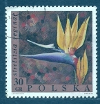 Stamps Poland -  Streliztia reginae