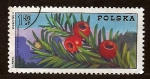 Stamps Poland -  Frutos