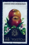 Stamps Poland -  Frutos