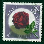 Stamps Hungary -  Flor