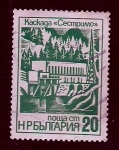 Stamps Bulgaria -  Flores 