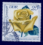 Stamps Germany -  Rosa