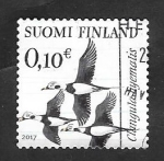 Stamps : Europe : Finland :  Glangula hyemalis