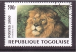 Sellos de Africa - Togo -  serie- Felinos