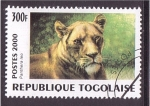 Sellos de Africa - Togo -  serie- Felinos