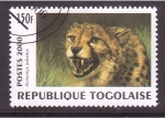 Stamps Togo -  serie- Felinos