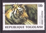 Stamps Togo -  serie- Felinos
