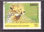 Stamps : Africa : Guinea :  Guepardo