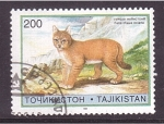Stamps Asia - Tajikistan -  Gato salvaje