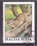 Stamps Hungary -  Gato Salvaje