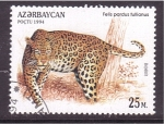 Stamps Asia - Azerbaijan -  serie- Felinos