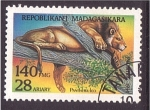 Stamps Madagascar -  serie- Felinos