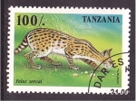 Stamps Tanzania -  serie- Felinos