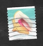 Stamps United States -  Concha marina