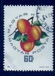 Stamps Hungary -  Melocoton