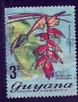 Stamps : America : French_Guiana :  Heleconia collinsiana