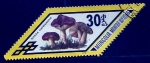 Stamps Mongolia -  Russula cyanoxantha