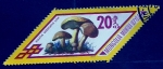 Stamps Mongolia -  Boletus variegatus