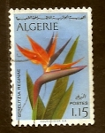 Stamps : Africa : Algeria :  Strelistia  reginae