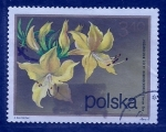 Stamps Poland -  Rosas