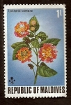 Stamps : Asia : Maldives :  Lantana camara