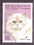 Stamps Somalia -  serie- Gatos