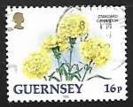 Stamps United Kingdom -  guernsey - Clavel estandart