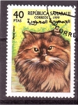 Stamps Spain -  serie- Gatos