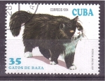Stamps Cuba -  serie- Gatos de raza