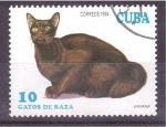 Sellos de America - Cuba -  serie- Gatos Asiáticos