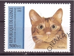 Stamps : Africa : Guinea :  serie- Gatos