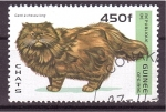Stamps : Africa : Guinea :  serie- Gatos