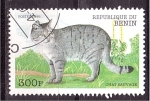 Sellos de Africa - Benin -  serie- Gatos